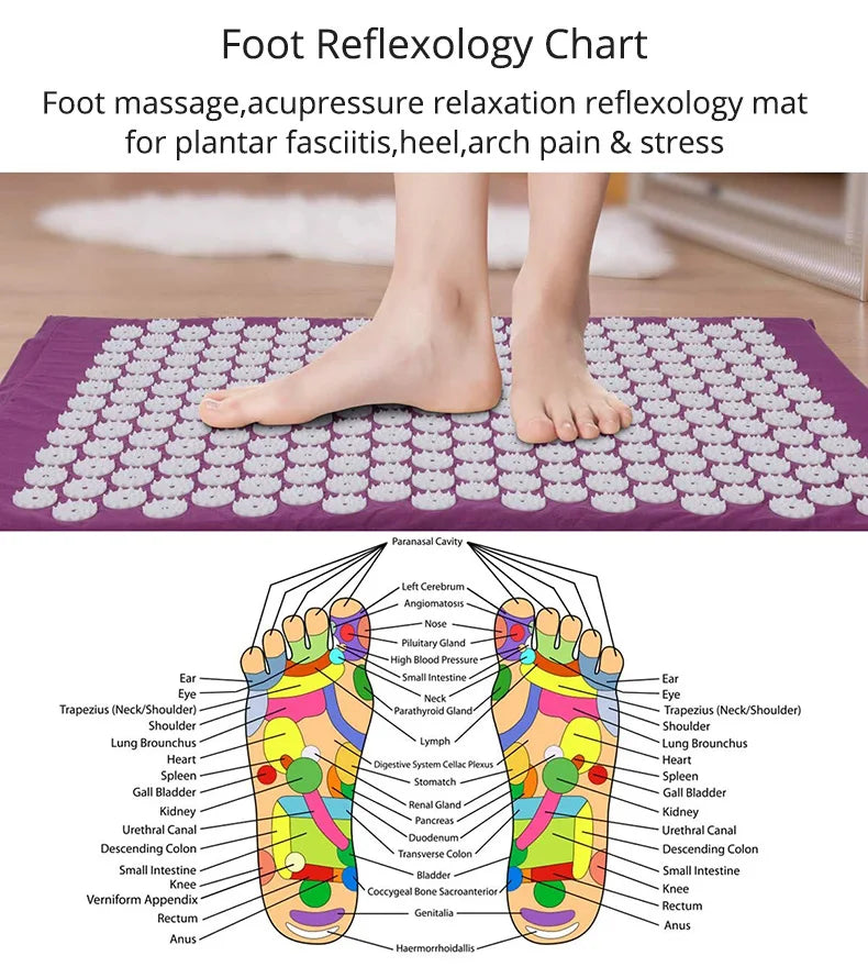 Acupressure Mat Sensi Massage Mat Pillow Set  applicator for Neck Foot Yoga Mat with Needle Back Cushion