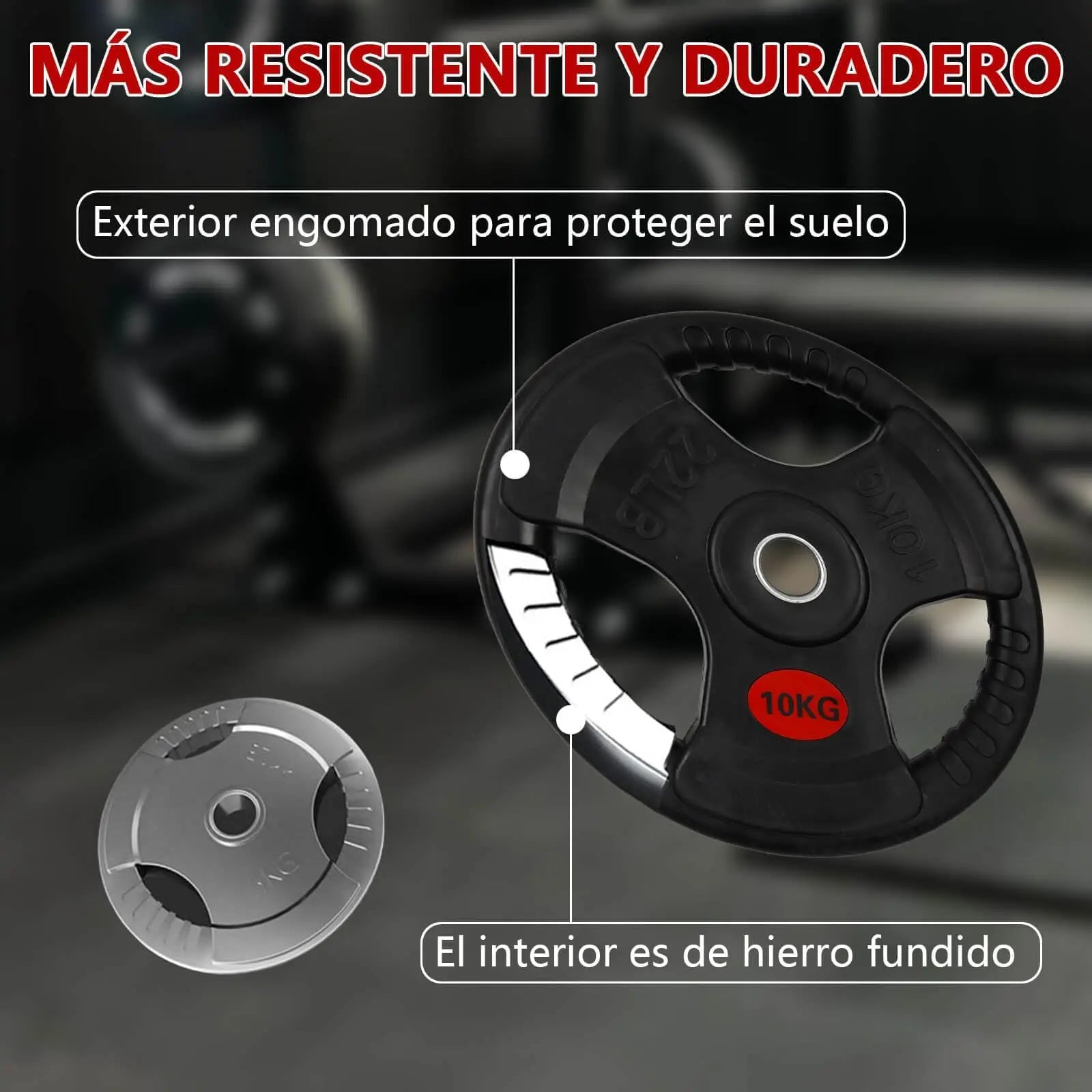 Weight Plates, 2.5/5/7.5/10/15/20kg, Cast Iron Dumbbell Plates Ø30/50mm, Non-slip/Waterproof, Metal Weight Plates for Bars